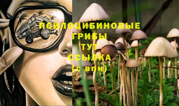 амф Навашино