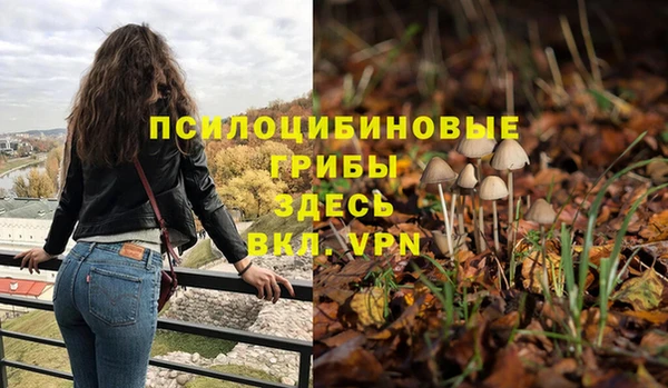кокс Надым