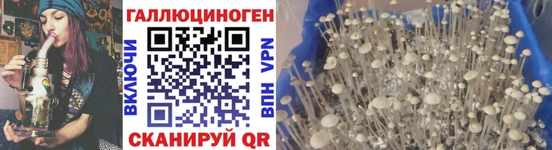 Псилоцибиновые грибы ЛСД  нарко площадка как зайти  Петушки  закладка 